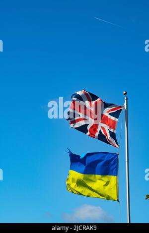 Union Jack und die ukrainische Flagge fliegen auf einer Farm in Essex England, Großbritannien, Juni 2022 Stockfoto