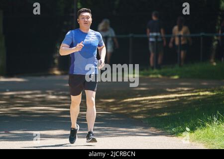 Ein Läufer im Green Park, London, während die Menschen das warme Wetter genießen. Bilddatum: Mittwoch, 15. Juni 2022. Stockfoto