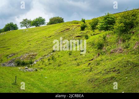 Große und alte Mineralgänge in einem Tal in der Nähe von Bradwell, die im 19.. Jahrhundert von Bleibergarbeitern verlassen wurden und nun überwuchert und fast versteckt sind. Stockfoto