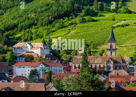 Die Catholique-Kirche von Presbytere und die Stadt Ribeauville, entlang der Route des Vins, Elsass Haut-Rhin, Frankreich Stockfoto