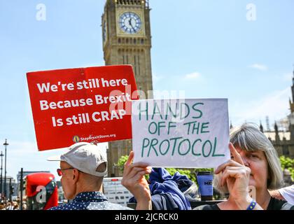 London, Großbritannien. 15.. Juni 2022. Die Anti-Regierung steht wieder vor dem Parlament in Westminster und stellt sich mit Plakaten und Flaggen gegen die Regierung in Bezug auf das Nordirland-Protokoll, die Einwanderungspolitik der Regierung, Flüge nach Ruanda und den Brexit. Kredit: Imageplotter/Alamy Live Nachrichten Stockfoto