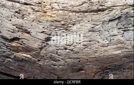 Alte gerissene Kiefer Stamm Textur Stockfoto