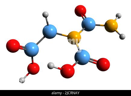 3D Bild der Skelettformel der Carbamoyl-Asparaginsäure - molekularchemische Struktur der auf weißem Hintergrund isolierten Harnsäure Stockfoto