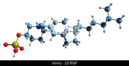 3D Abbildung der Skelettformel des Cholesterinsulfats - molekularchemische Struktur des endogenen Steroids auf weißem Hintergrund isoliert Stockfoto