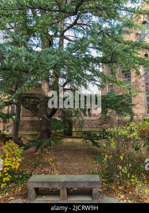 PRINCETON, NJ USA - NOVENBER 12, 2019: Ivy League College Building, Princeton University, NJ USA Stockfoto