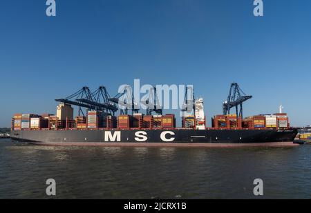 Harwich, England - 10. Juni 2022: Ansicht eines großen Containerschiffes, das im Industriehafen Harwich an der englischen Nordseeküste verladen wird Stockfoto