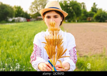 Unschärfe Frau in vyshywanka halten Bouquet von reifen goldenen Ähren auf der Wiese Natur Hintergrund gebunden. Flagge Ukraine. Unabhängigkeit Stockfoto