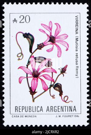 ARGENTINIEN - UM 1989: Eine in Argentinien gedruckte Briefmarke zeigt Mutisia retusa Remy, um 1989 Stockfoto