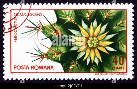 RUMÄNIEN - UM 1965: Eine in Rumänien gedruckte Marke zeigt Ferocactus glaucescens, Cactus, um 1965 Stockfoto