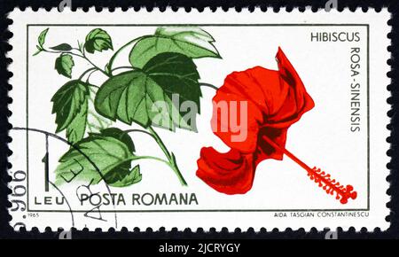 RUMÄNIEN - CA. 1965: Ein in Rumänien gedruckter Stempel zeigt Chinesisches Hibiscus, Hibiscus Rosa-Sinensis, Werk, ca. 1965 Stockfoto