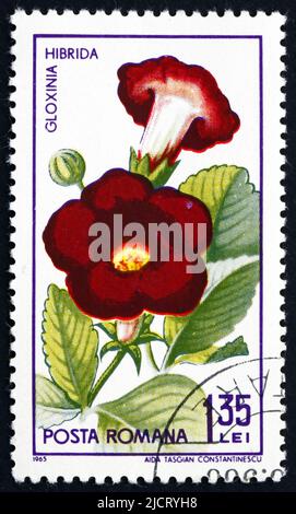 RUMÄNIEN - UM 1965: Eine in Rumänien gedruckte Briefmarke zeigt Gloxinia Hibrida, Sinningia Speciosa, Plant, um 1965 Stockfoto
