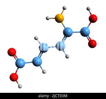 3D Bild der Skelettformel der 2-Aminomukonsäure - molekularchemische Struktur des Intermediates im Stoffwechsel von Tryptophan, isoliert auf weißem Rücken Stockfoto