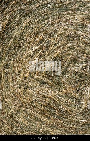 Rottweil, Deutschland. 15.. Juni 2022. Gepresste Heuballen liegen auf einem Feld in der Nähe von Rottweil. Kredit: Silas Stein/dpa/Alamy Live Nachrichten Stockfoto