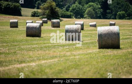 Rottweil, Deutschland. 15.. Juni 2022. Gepresste Heuballen liegen auf einem Feld in der Nähe von Rottweil. Kredit: Silas Stein/dpa/Alamy Live Nachrichten Stockfoto