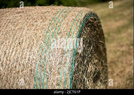 Rottweil, Deutschland. 15.. Juni 2022. Gepresste Heuballen liegen auf einem Feld in der Nähe von Rottweil. Kredit: Silas Stein/dpa/Alamy Live Nachrichten Stockfoto