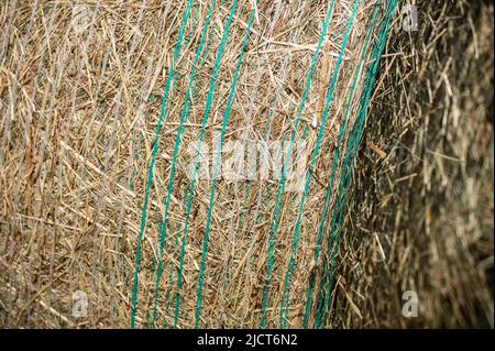 Rottweil, Deutschland. 15.. Juni 2022. Gepresste Heuballen liegen auf einem Feld in der Nähe von Rottweil. Kredit: Silas Stein/dpa/Alamy Live Nachrichten Stockfoto