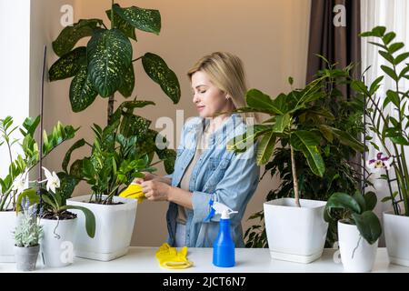 Junge Geschäftsfrau sprüht Pflanzen in Blumentöpfen. Frau, die sich um die Hauspflanze kümmert. Frau kümmert sich um Pflanzen in ihrem Haus, sprühen eine Pflanze mit reinem Stockfoto