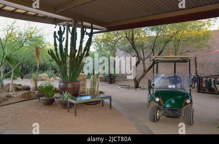 USA, PHOENIX, ARIZONA - 17. NOVEMBER 2019: Gesamtansicht des Eingangs zum Phoenix Botanical Garden, Arizona, USA Stockfoto