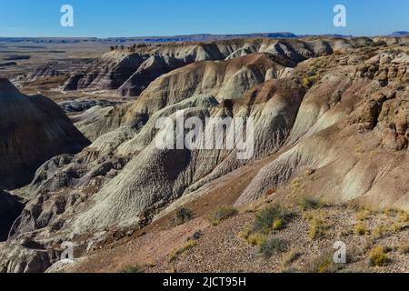 Die Painted Desert an einem sonnigen Tag. Diverse Sedimentgesteine und Ton, ausgewaschen mit Wasser. Petrified Forest National Park, USA, Arizona Stockfoto