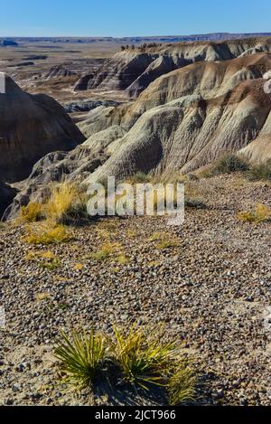 Die Painted Desert an einem sonnigen Tag. Diverse Sedimentgesteine und Ton, ausgewaschen mit Wasser. Petrified Forest National Park, USA, Arizona Stockfoto