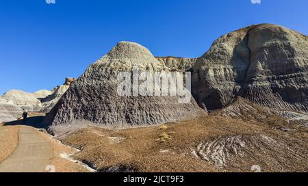 Die Painted Desert an einem sonnigen Tag. Diverse Sedimentgesteine und Ton, ausgewaschen mit Wasser. Petrified Forest National Park, USA, Arizona Stockfoto