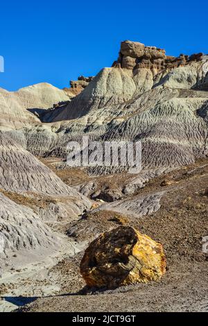 Die Painted Desert an einem sonnigen Tag. Diverse Sedimentgesteine und Ton, ausgewaschen mit Wasser. Petrified Forest National Park, USA, Arizona Stockfoto