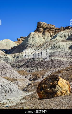 Die Painted Desert an einem sonnigen Tag. Diverse Sedimentgesteine und Ton, ausgewaschen mit Wasser. Petrified Forest National Park, USA, Arizona Stockfoto