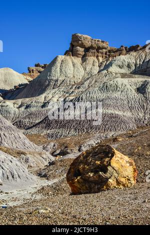 Die Painted Desert an einem sonnigen Tag. Diverse Sedimentgesteine und Ton, ausgewaschen mit Wasser. Petrified Forest National Park, USA, Arizona Stockfoto