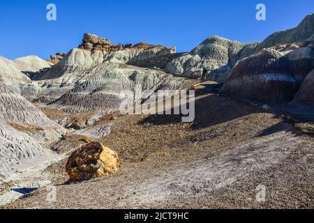 Die Painted Desert an einem sonnigen Tag. Diverse Sedimentgesteine und Ton, ausgewaschen mit Wasser. Petrified Forest National Park, USA, Arizona Stockfoto