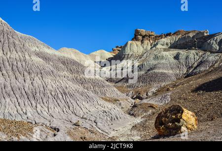 Die Painted Desert an einem sonnigen Tag. Diverse Sedimentgesteine und Ton, ausgewaschen mit Wasser. Petrified Forest National Park, USA, Arizona Stockfoto