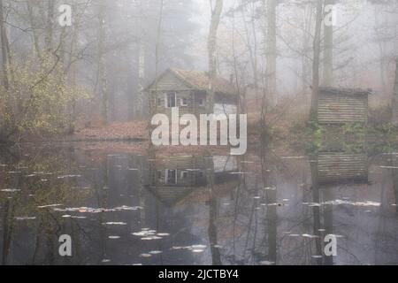 Verlassene Hütte neben einem kleinen Holzschuppen mit Spiegelungen im Wasser eines Sees im Pfälzer Wald Deutschlands an einem nebligen Herbsttag. Stockfoto