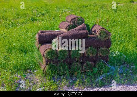 Nahaufnahme des Rollrasen, der für die Verlegung im Garten vorbereitet ist. Schweden. Stockfoto