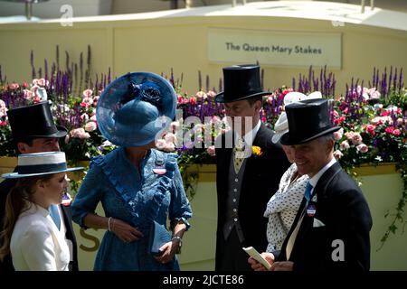 Ascot, Bergen, Großbritannien. 15.. Juni 2022. Die Royal Procession kommt auf der Rennstrecke bei Royal Ascot an. Zu den heute anwesenden Mitgliedern der königlichen Familie gehören Charles, der Prinz von Wales, Camilla, die Herzogin von Cornwall, Edward, der Earl Wessex, Sophie, die Gräfin von Wessex, Prinzessin Beatrice und ihr Ehemann Edoardo Mapelli Mozzi. Quelle: Maureen McLean/Alamy Live News Stockfoto