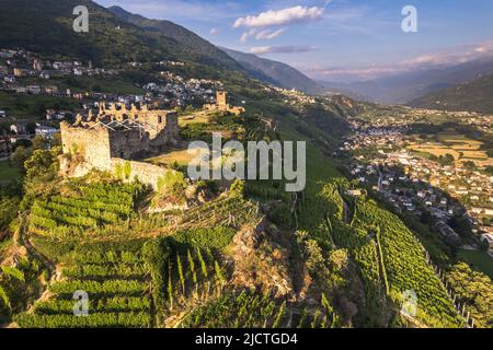 Luftaufnahme der Landschaft von Valtellina mit seinen Weinbergen, Grumello, Lombardei. Stockfoto