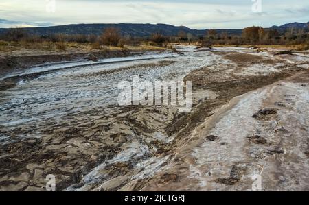 Rissiger roter Ton und weißes Salz an der Oberfläche in einem getrockneten Flussbett in der Wüste von New Mexico, USA Stockfoto