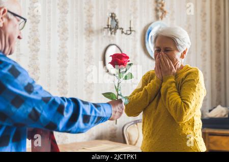 Du bist mein Valentine - Senior Mann gibt eine frische rote Rose zu seiner niedlichen Frau zu Hause Medium Schuss Liebe und Dienstalter Konzept. Hochwertige Fotos Stockfoto