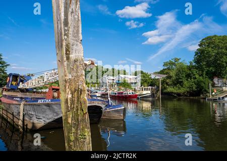 River Thames, Twickenham, London, Großbritannien Stockfoto