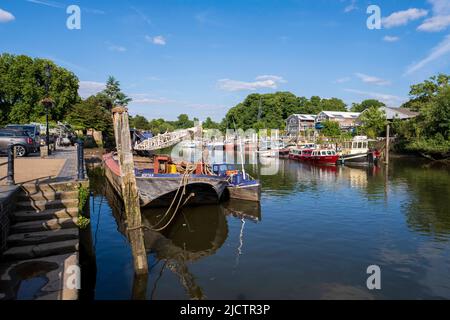 River Thames, Twickenham, London, Großbritannien Stockfoto