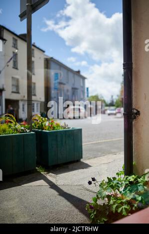 Verschwommene Straßenszene mit Blumenkiste, geparkten Autos, Straße, Gehsteig, Sonnenschein im Sommer und Fokus auf Vordergrundpflanze durch Fenster Stockfoto