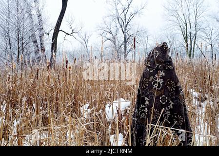 Der Zauberer im mittelalterlichen Umhang blickt auf ein Feld mit Wintereifrig. Magische Bilder rufen eine andere Welt hervor. Stockfoto