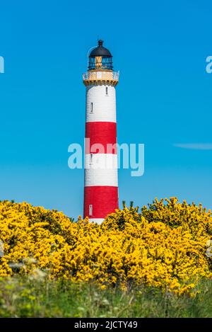 Tarbat Ness Lighthouse, Portmahomack, Highland, Ostküste von Schottland, Großbritannien Stockfoto