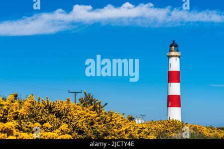 Tarbat Ness Lighthouse, Portmahomack, Highland, Ostküste von Schottland, Großbritannien Stockfoto