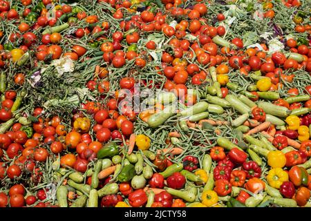 Mischung aus abgelaufenem Gemüse. Haufen organischer Bioabfälle für Kompost. Vollformat Stockfoto