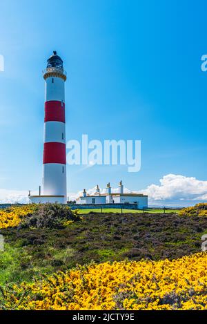 Tarbat Ness Lighthouse, Portmahomack, Highland, Ostküste von Schottland, Großbritannien Stockfoto