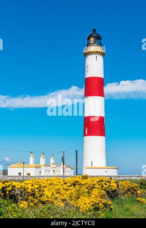 Tarbat Ness Lighthouse, Portmahomack, Highland, Ostküste von Schottland, Großbritannien Stockfoto