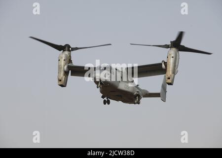 Ein US Marine Corps MV-22 Osprey Drehflügelflugzeug bereitet sich auf die Landung in Kajaki, Afghanistan, vor 5. Februar 2012. Der MV-22 Osprey fiel ab Stockfoto