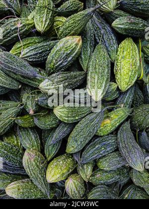 Frische bittere Wache viele aus der Nähe von oben Winkel Stockfoto