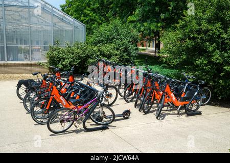 State College, Usa. 15.. Juni 2022. Spin-Elektro-Assistenzräder (E-Bikes) stehen in der Nähe der Berkey Creamery auf dem Campus der Penn State University. Penn State Transportation Services hat sich mit dem Borough of State College und Spin, einem Unternehmen für Mikromobilität im Besitz des Berliner TIER Mobility, zusammen gesetzt, um rund 300 vermietbare E-Bikes auf dem Campus und im Stadtteil bereitzustellen. Kredit: SOPA Images Limited/Alamy Live Nachrichten Stockfoto