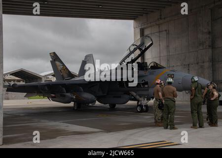 Matrosen der US-Marine mit elektronischem Angriffsschwadron 138 (VAQ-138) inspizieren einen E/A-18G Growler, der VAQ-138 zugewiesen wurde, in einem Hangar, der von Marine Wing Liaison Kadena (MWLK) für eine gemeinsame Ausbildung der Streitkräfte auf dem Militärstützpunkt der Kadena Air Force, Okinawa, Japan, 13. Juni 2022, betrieben wird. MWLK bietet umfassende operative und logistische Unterstützung für lokale und stationierten US-Marine-Korps und US-Navy-Geschwader, die auf dem Luftwaffenstützpunkt Kadena tätig sind. (USA Marine Corps Foto von Lance CPL. Emily Weiss) Stockfoto