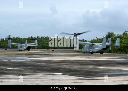 Zwei MV-22B Osprey, die dem Marine Medium Tiltrotor Squadron (VMM) 266 zugewiesen sind, starten während der französisch-karibischen Übung Caraibes 22 auf der Muniz Air National Guard Base, Carolina, Puerto Rico, 15. Juni 2022 vom Flugplatz zum Start. Caraibes 22 ist eine von Frankreich geleitete, groß angelegte, gemeinsame Trainingsübung in der Karibik, bei der Marine-, Luft- und Landgüter von französischen, US-amerikanischen und regionalen Kräften eingesetzt werden, die sich auf die Reaktion auf simulierte Naturkatastrophen konzentrieren. Während der Übung war der 156. Wing der Hauptbetriebsdrehscheibe zur Unterstützung von VMM-266, indem er Treibstoff, Flugzeugmarshalling, Sicherheit, Hangar und Büro-Spa zur Verfügung stellte Stockfoto